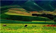 疆山如画---经典新疆：新疆天山天池、吐鲁番、库姆塔格沙漠、野马生态园卧飞8日游
